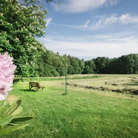 Hof Boehmetal Appartamento *